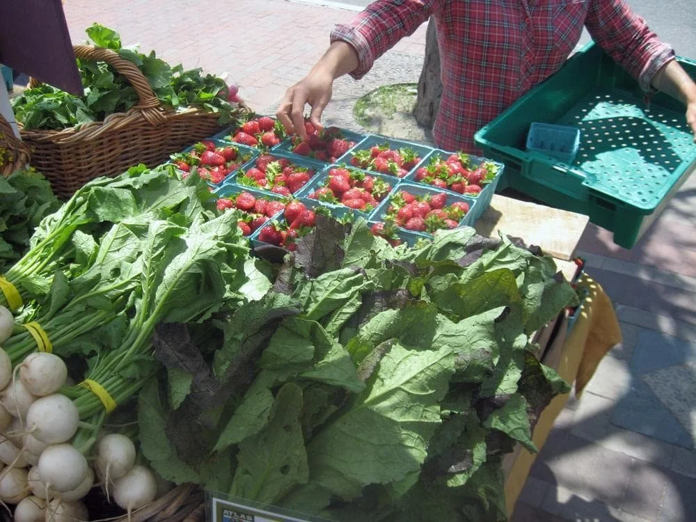 How farmers markets in Massachusetts are connecting people to fresh food