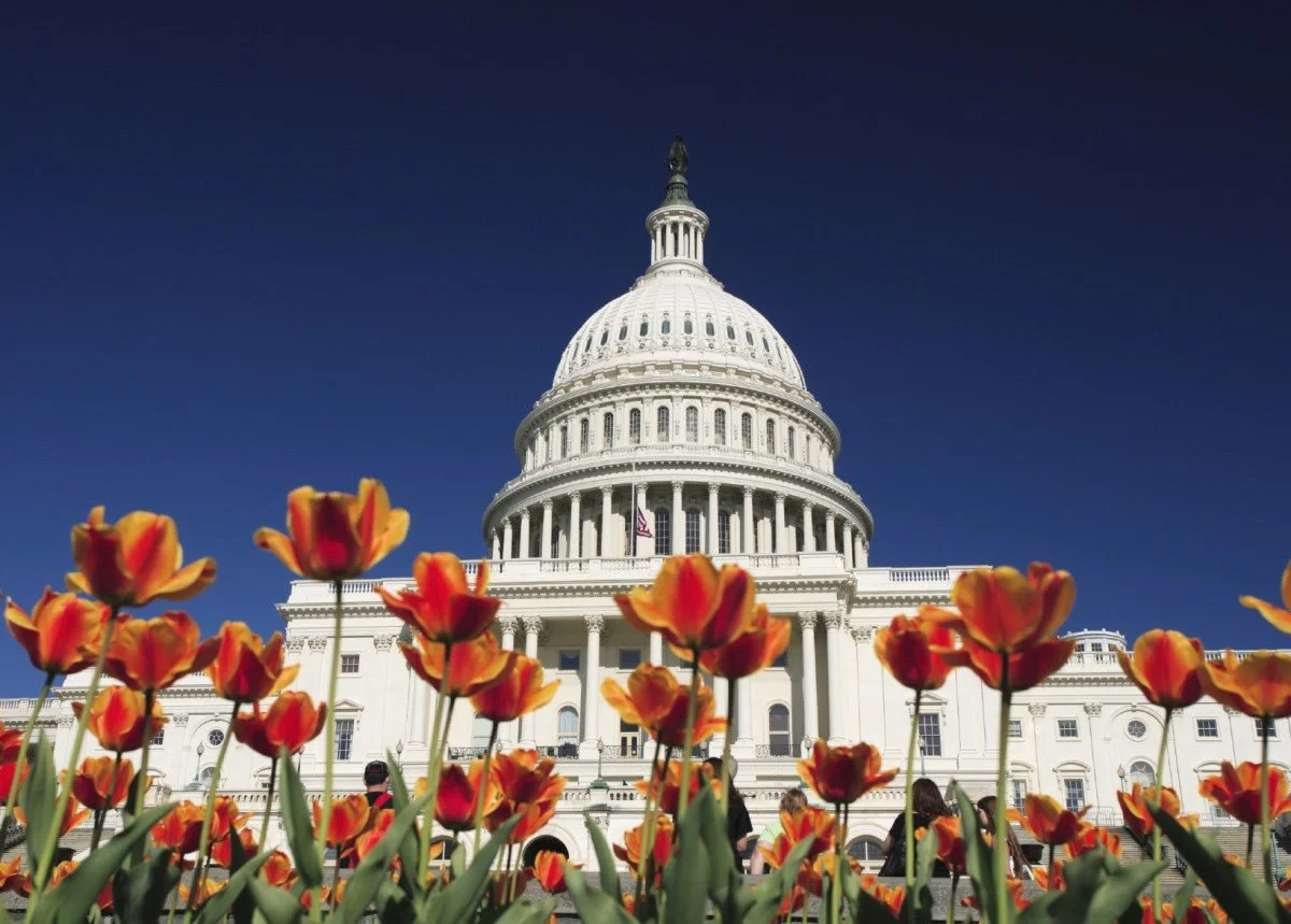 A Deep Dive on the Senate’s FY2024 Appropriations Bill