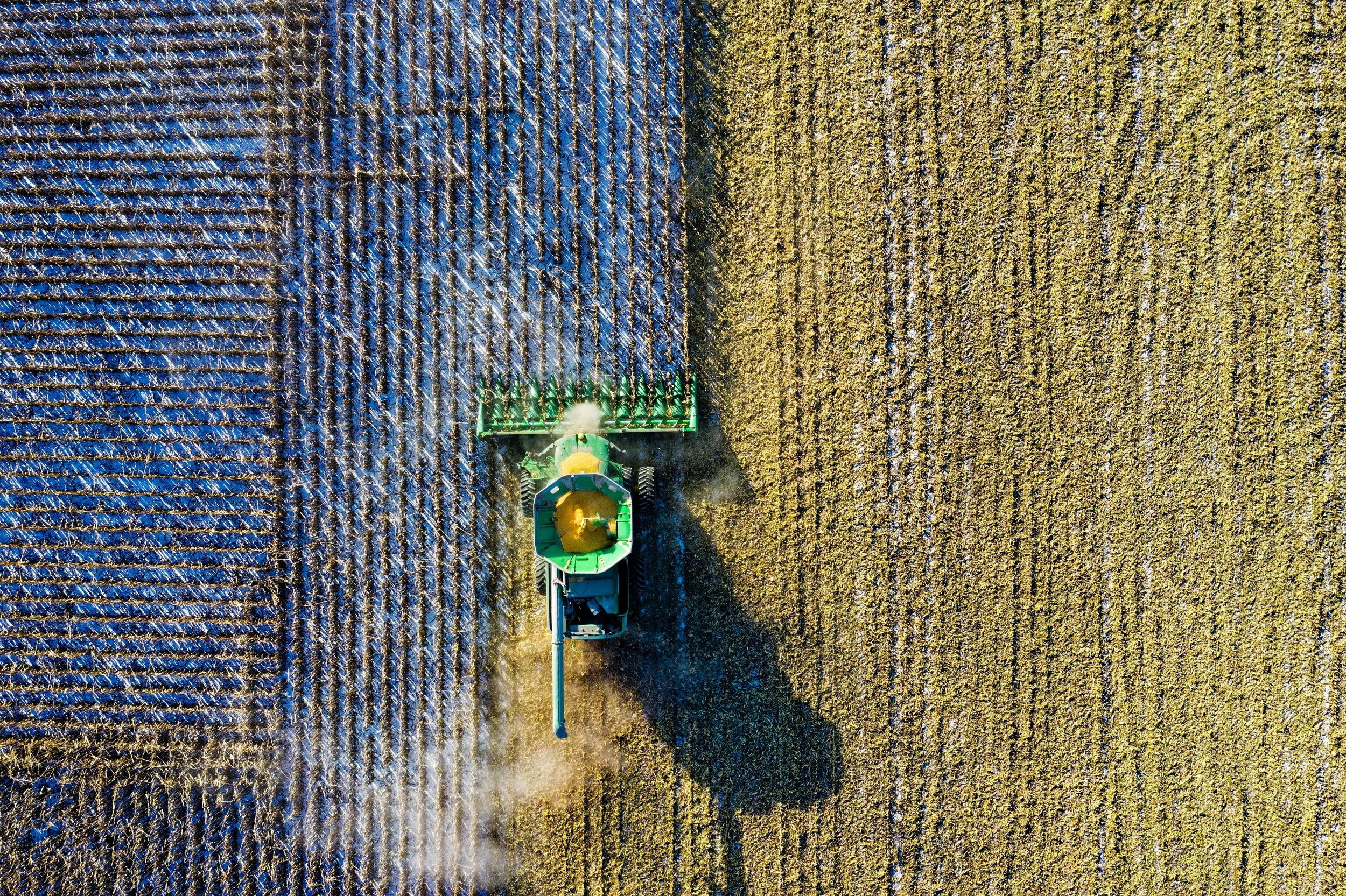 Agricultural Diversification: Practice and Policy