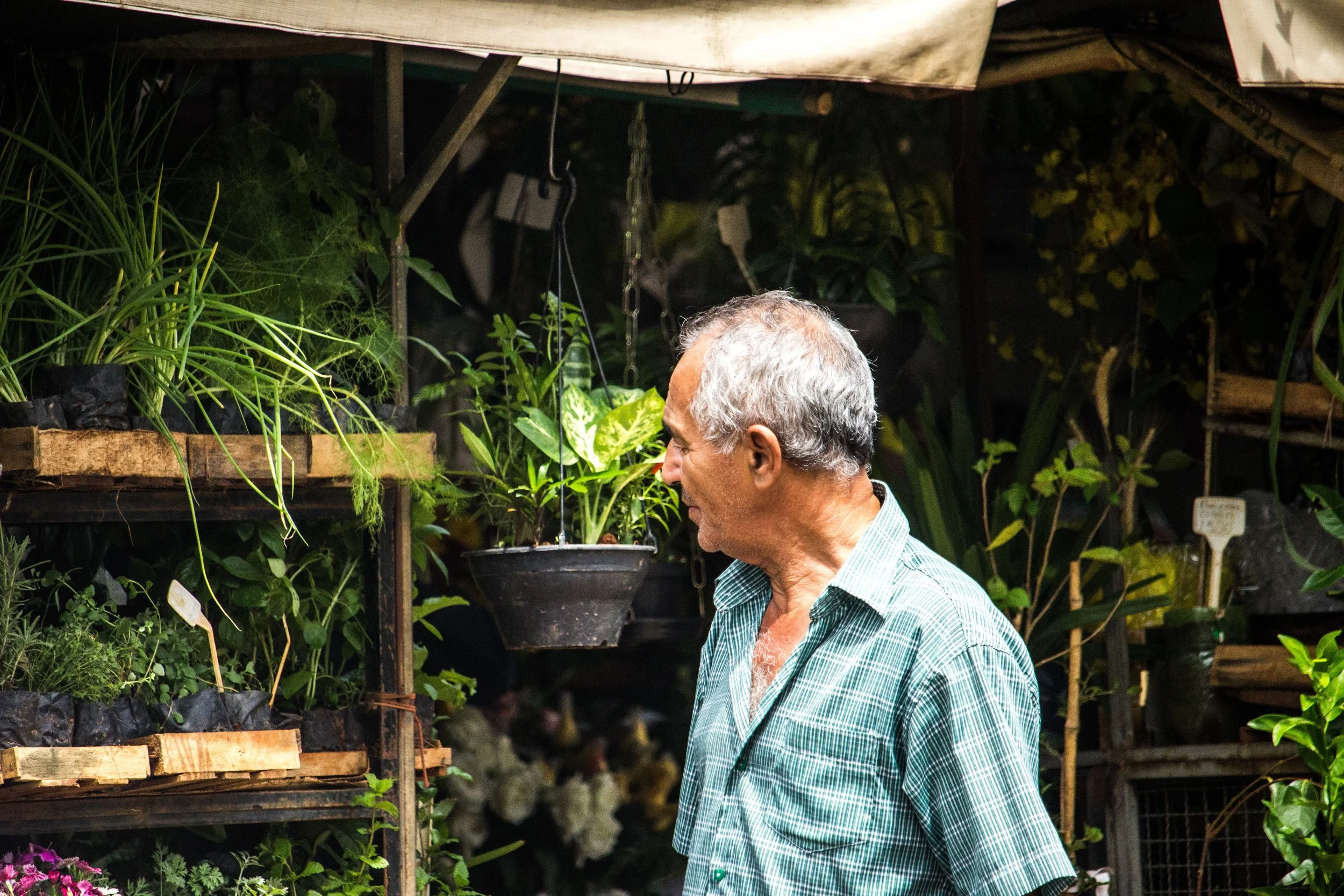 Biden-Harris Administration Announces Investments in Urban Agriculture, Food and Market Access through President Biden’s Investing in America Agenda