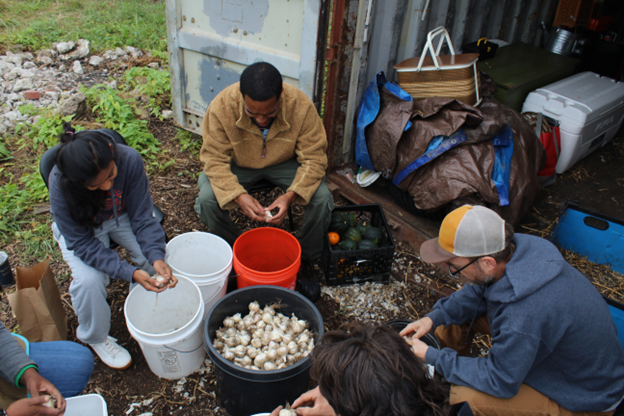 USDA Announces $300 Million in Awards to Support Access to Land, Capital, and Markets for Beginning and Undeserved Farmers