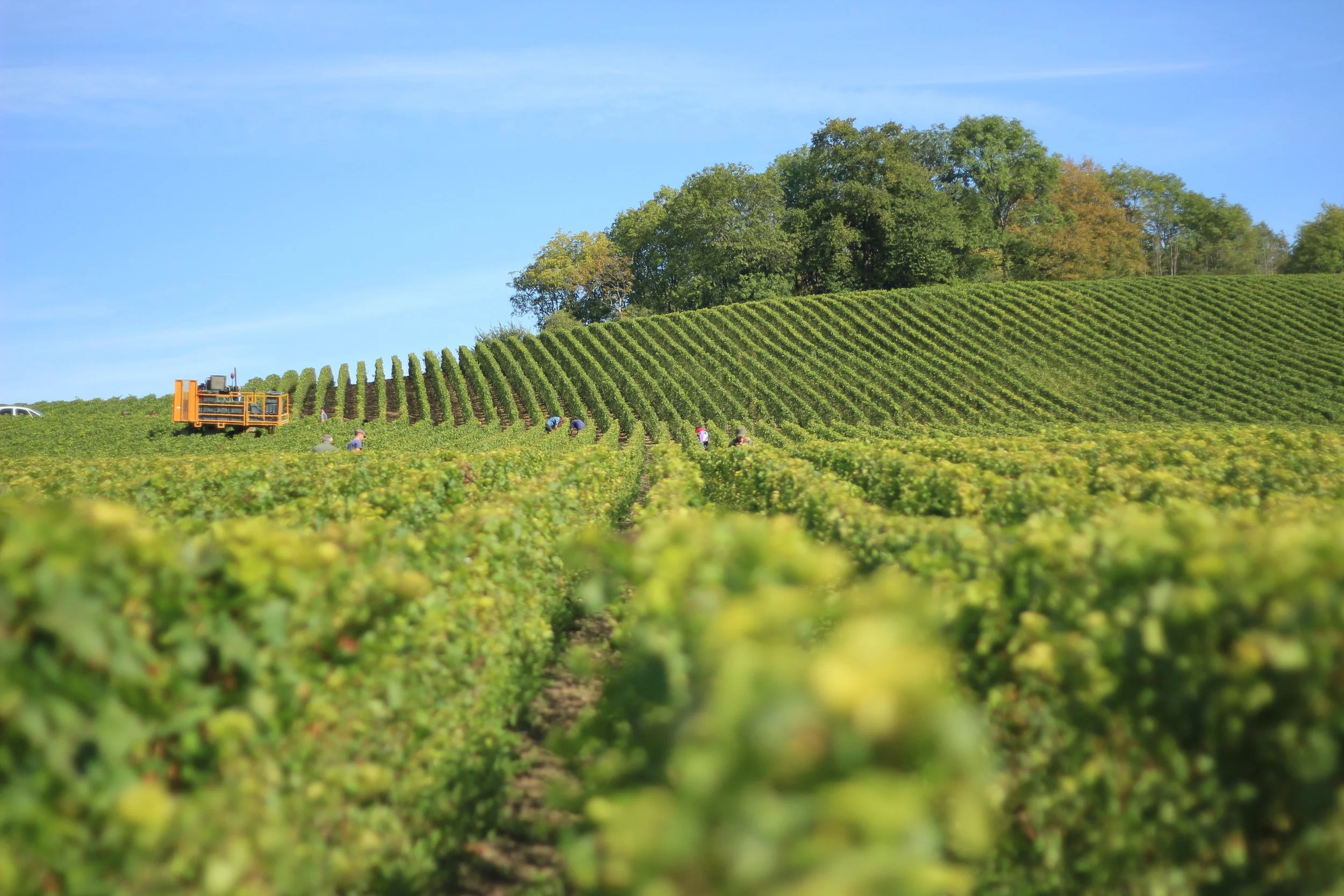 USDA To Provide Additional Financial Assistance to Qualifying Guaranteed Farm Loan Borrowers Facing Financial Risk