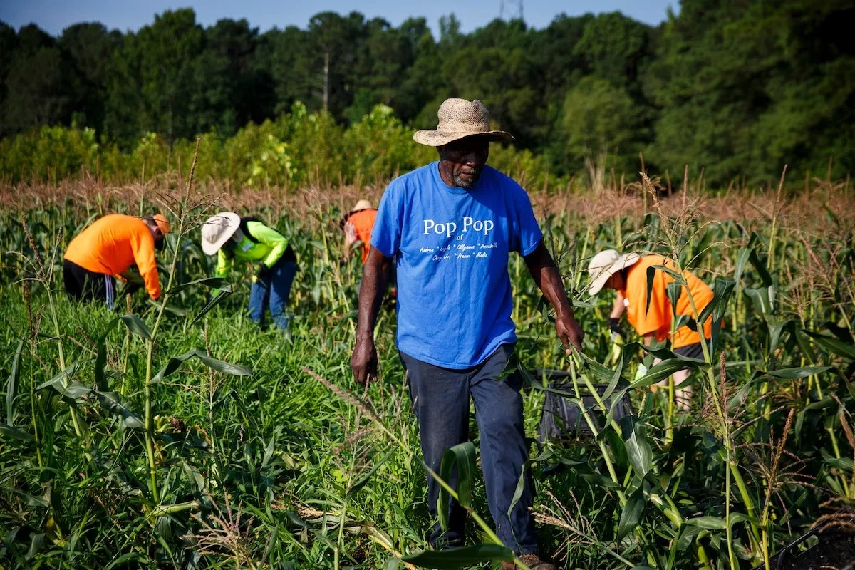 A Virginia food bank and a farmer cultivate an innovative alliance