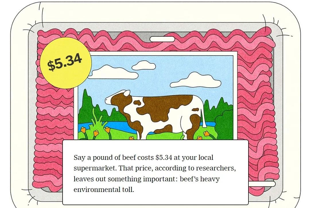 The Hidden Environmental Costs of Food 