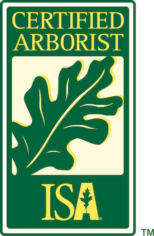 certified arborist small.jpeg