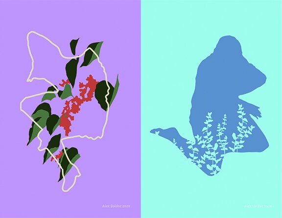 "Fine Line" and "Ocean Blue"