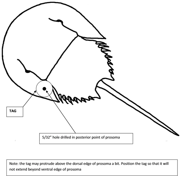 e7334541-4a5a-43d5-985d-be710cb512e1.png