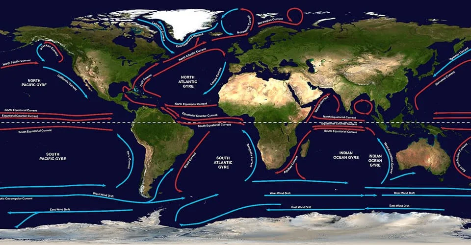 Once in the ocean, plastic pollution tends to accumulate in gyres, which are large systems of rotating ocean currents. There are five major gyres: two in the Atlantic Ocean, two in the Pacific Ocean and one in the Indian Ocean. In the Pacific Ocean, the North Pacific Gyre is home to the “Great Pacific Garbage Patch”, a large area that is approximately the size of Texas with debris extending 20 feet (6 meters) down into the water column. It’s estimated that this “plastic island” contains 3.5 million tons of trash and could double in size in the next 5 years. In the Atlantic Ocean, the garbage patch sits hundreds of miles off the North American coast, covering a region between 22 and 38 degrees north latitude—roughly the distance from Cuba to Virginia. The Indian Ocean's garbage patch is centered roughly halfway between Africa and Australia. As with the Pacific garbage patch, plastic in both the Atlantic and Indian garbage patches can circulate in the ocean for years, posing health risks to fish, seabirds, sea turtles, and marine mammals that accidentally swallow or get entangled by the litter.