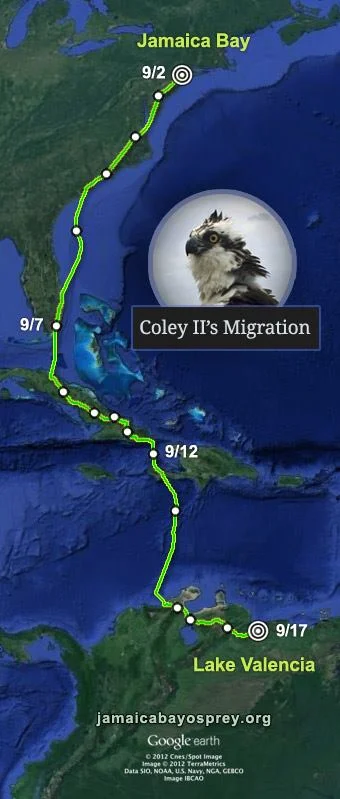 A fall migration route from Jamaica Bay in New York City to Lake Valencia in Venezuela.