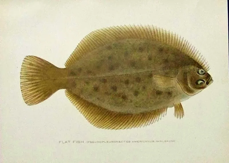 122df.jpg