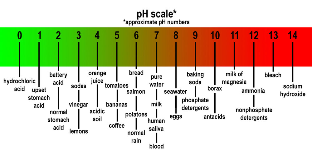 The word pH is derived from “power of hydrogen” and was first used in 1909 by a biochemist of the name Soren Peter Lauritz Sorensen.