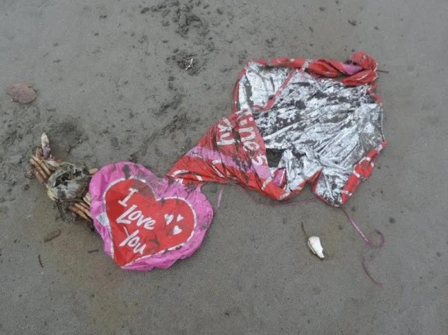 mylar_creditrusslewis_marinedebris_program.jpg