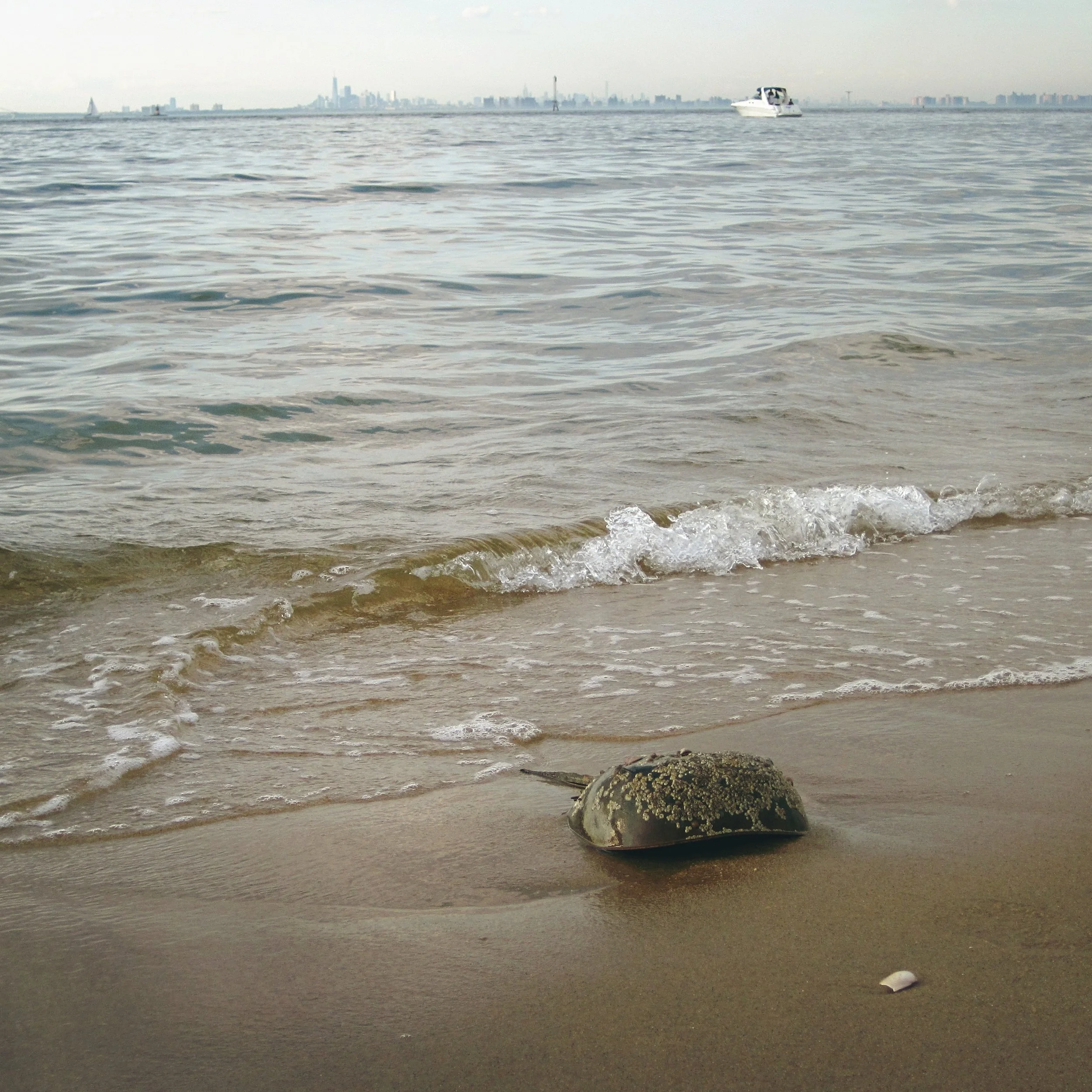 IMG_2835_Fotor.jpg