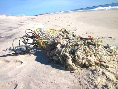 GHOST FISHING GEAR FOUND WASHED ASHORE AT BARNEGAT LIGHT, NJ IN 2019.