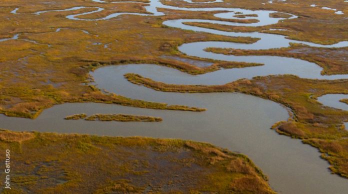 New Jersey Wetland Loss