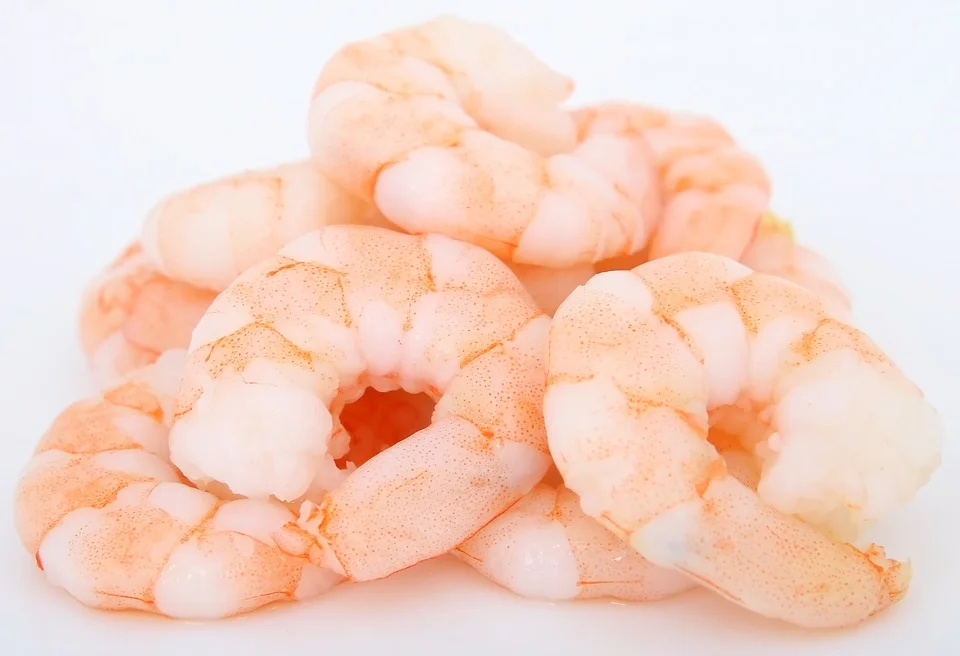 prawns-1239307_960_720.jpg