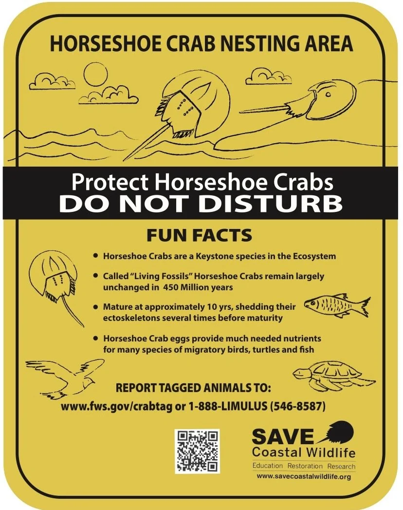 Save Horseshoe Crabs in New York Harbor — Save Coastal Wildlife