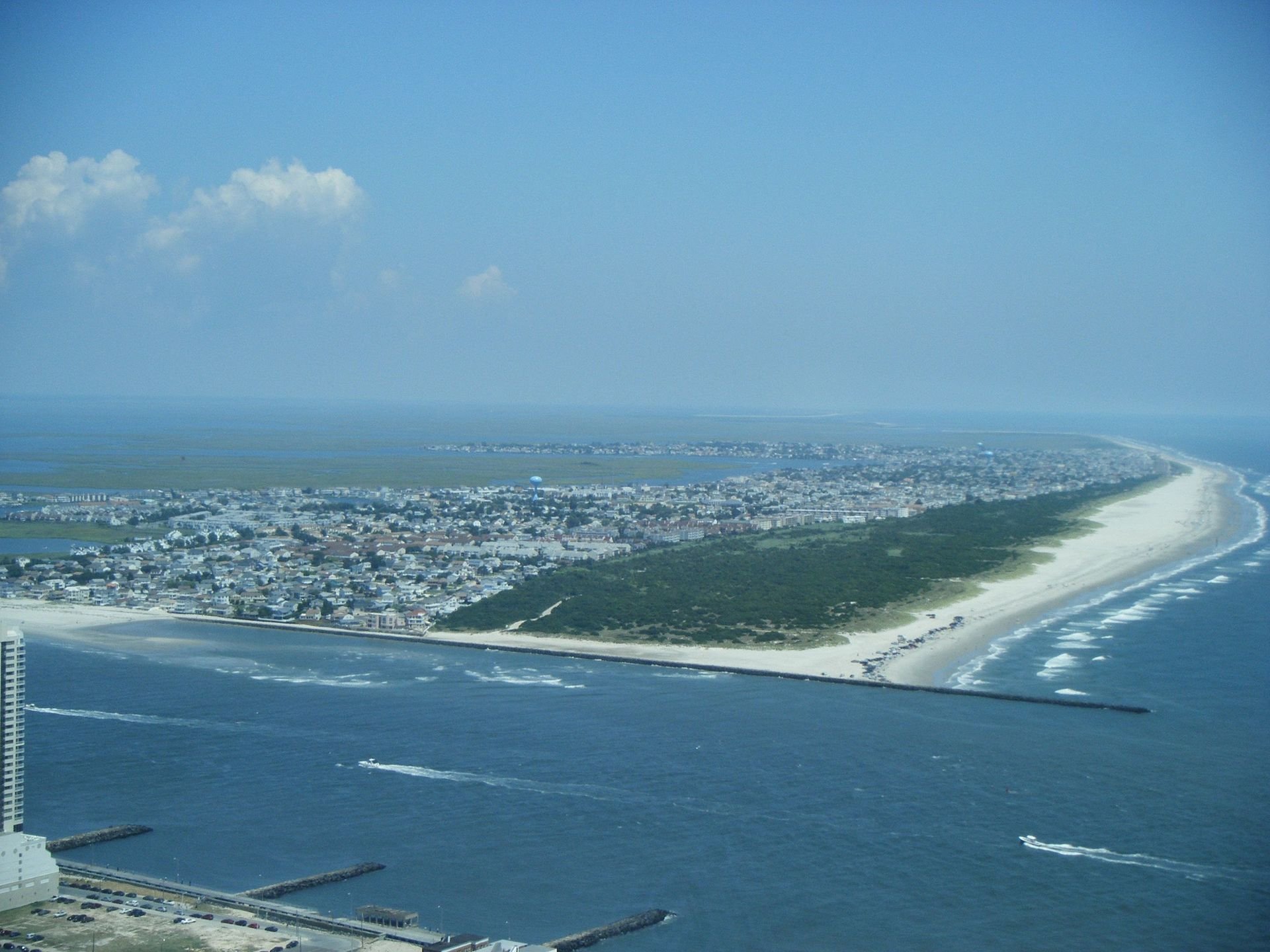 Atlantic City Surf - Wikipedia