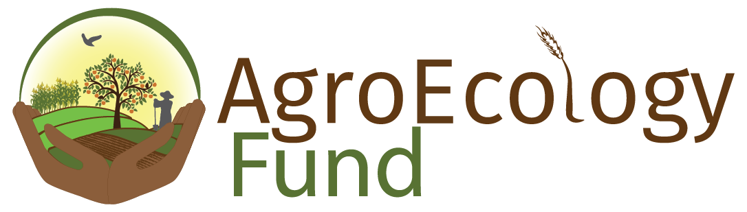 AEF_logo_1-01.png