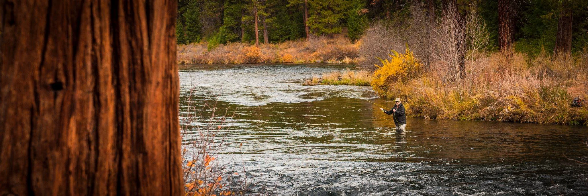 He had the river to himself