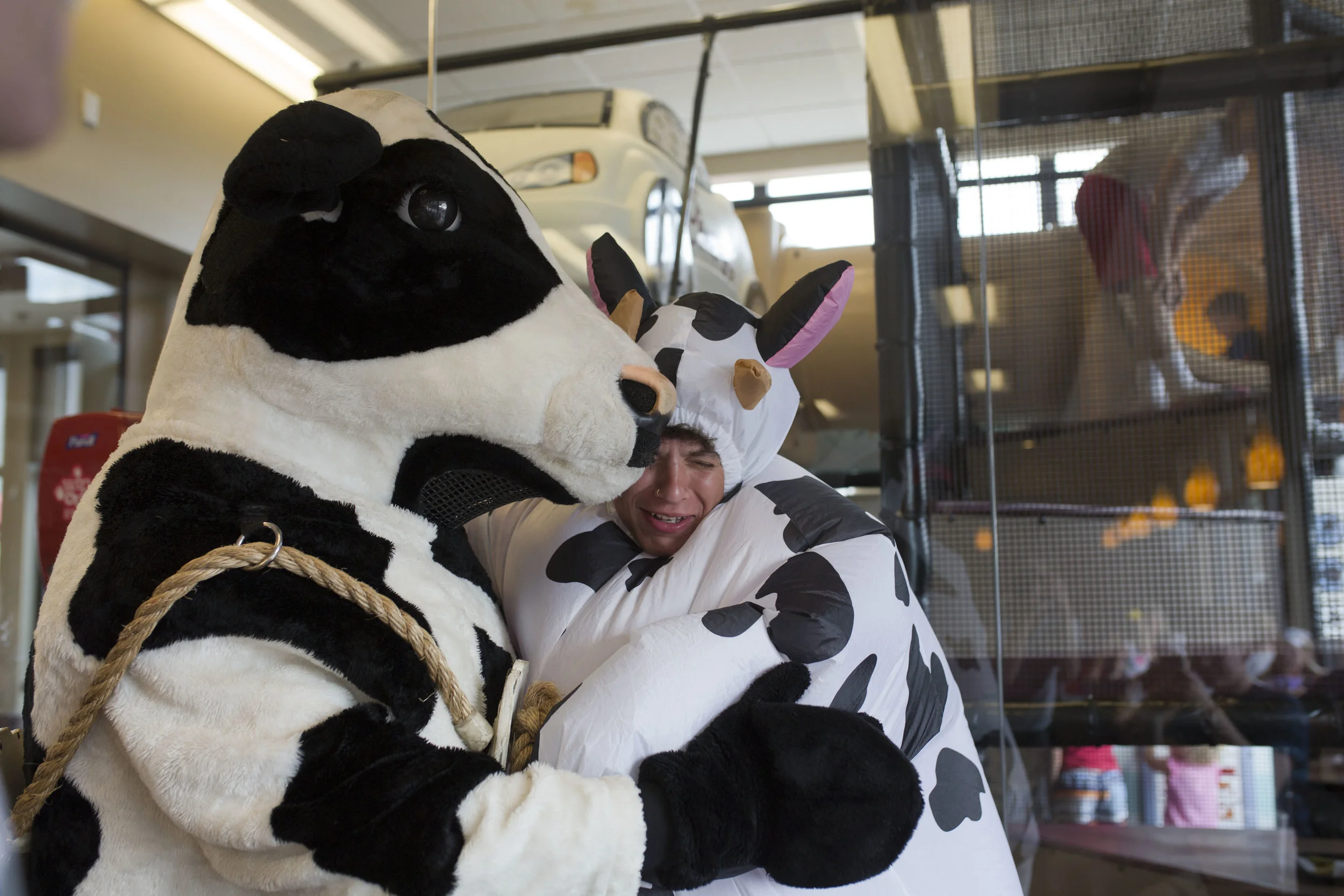Cow Appreciation Day 2018