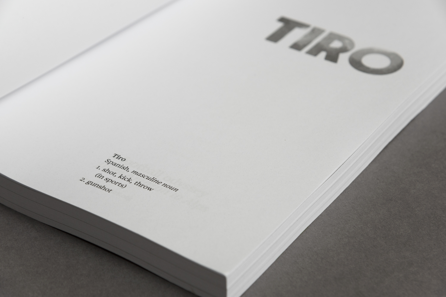 CounterStudio_Tiro_ShotDetail.jpg