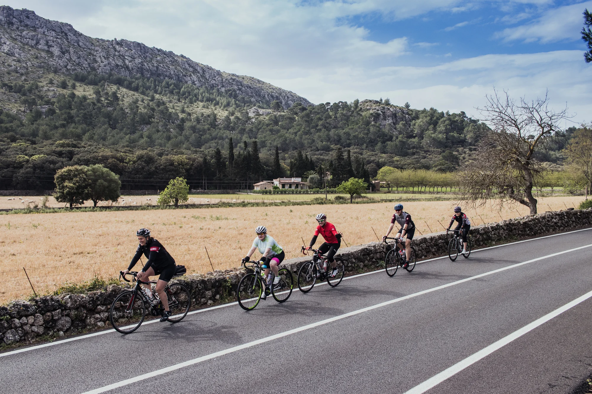 Mallorca_2018_Stetson-2.jpg