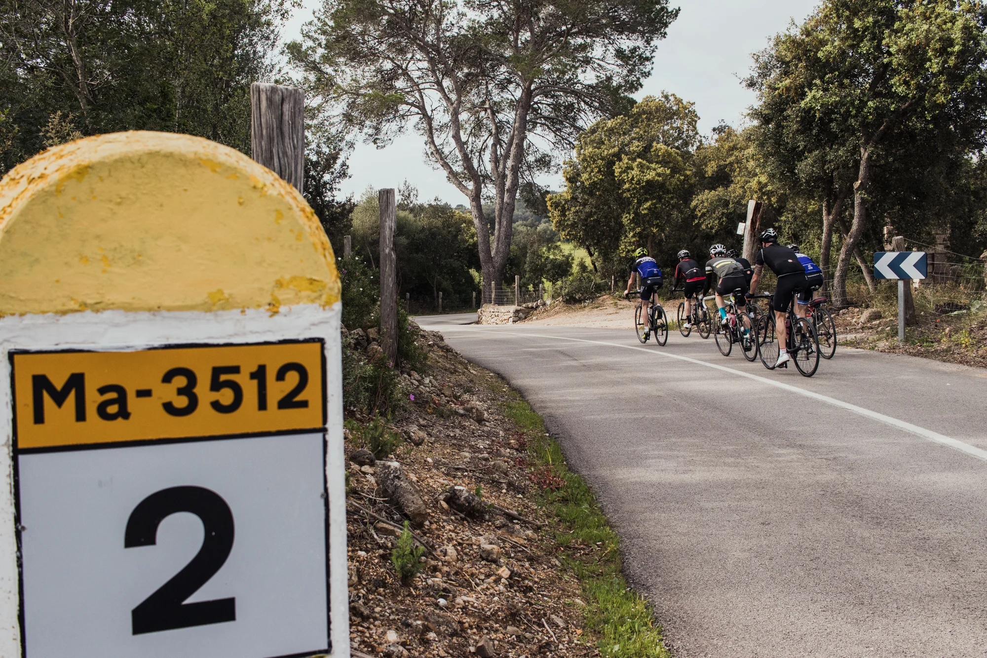 Mallorca_2018_Stetson-17.jpg