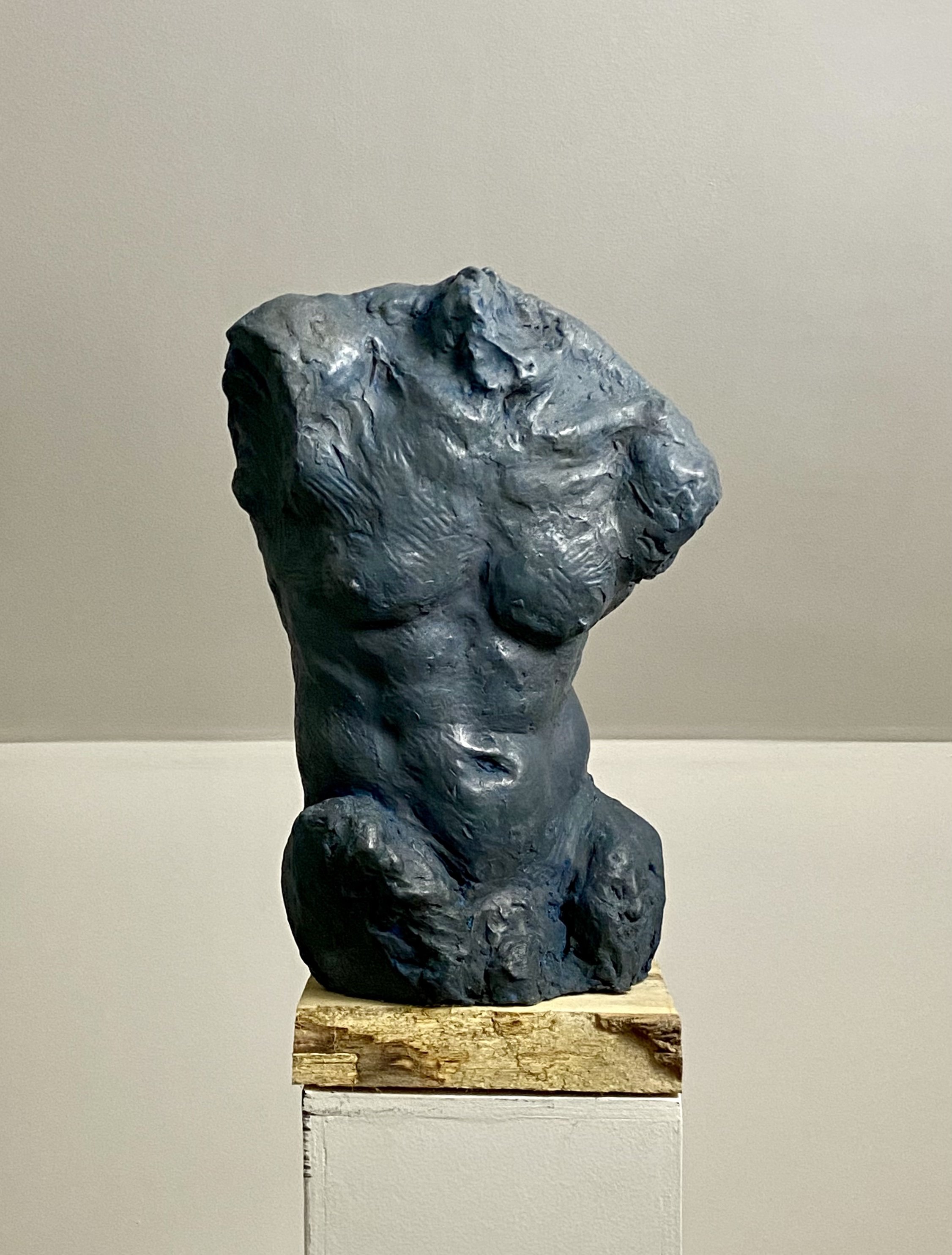 Blue torso aqua resin on wood