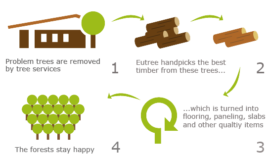 Forest Free Illustration White Background copy.png