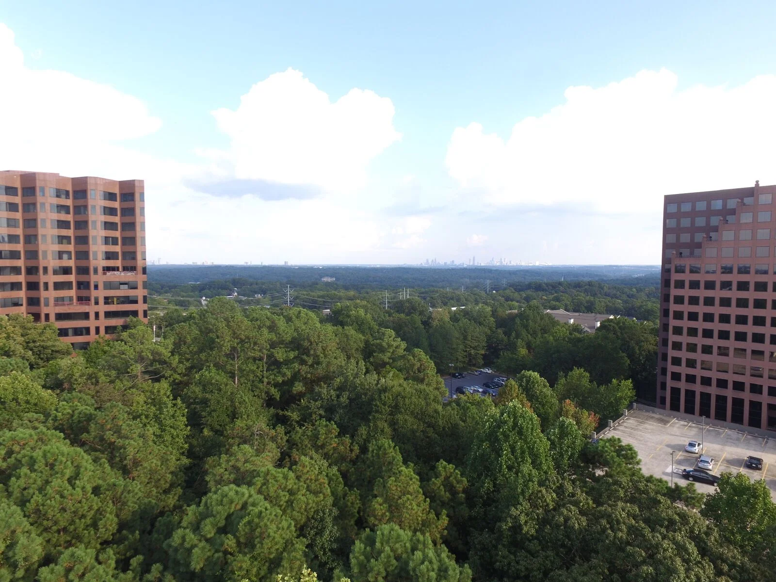 While the removal of some trees was required to make way for the mixed-use residential community, Gables partnered with Atlanta expert arborist, David Dechant at Arbor Guard, to minimize the impact to the tree canopy and surrounding environment.