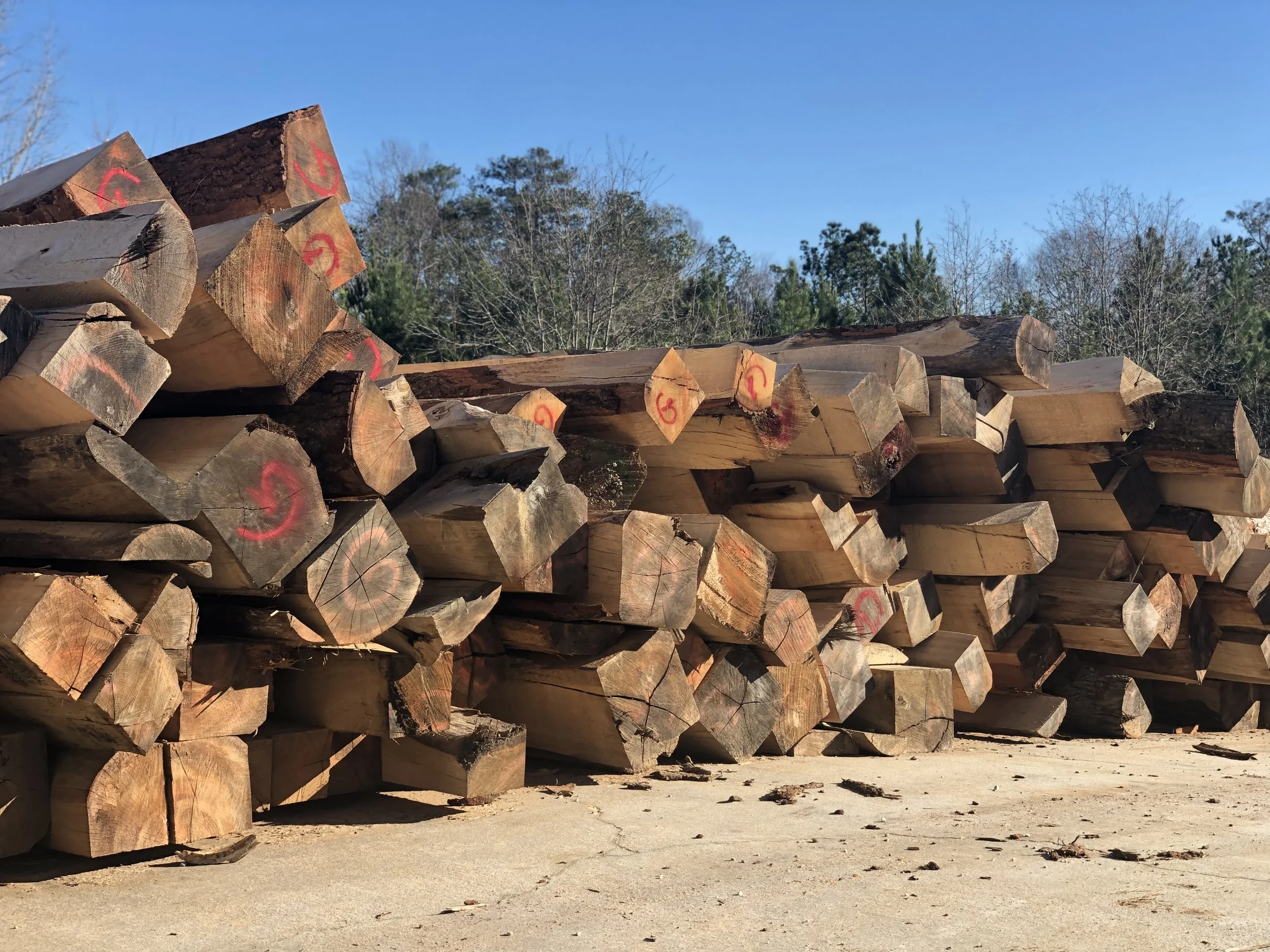 Cants are organized and stacked to be re-sawn into boards for flooring, paneling and dimensional lumber.