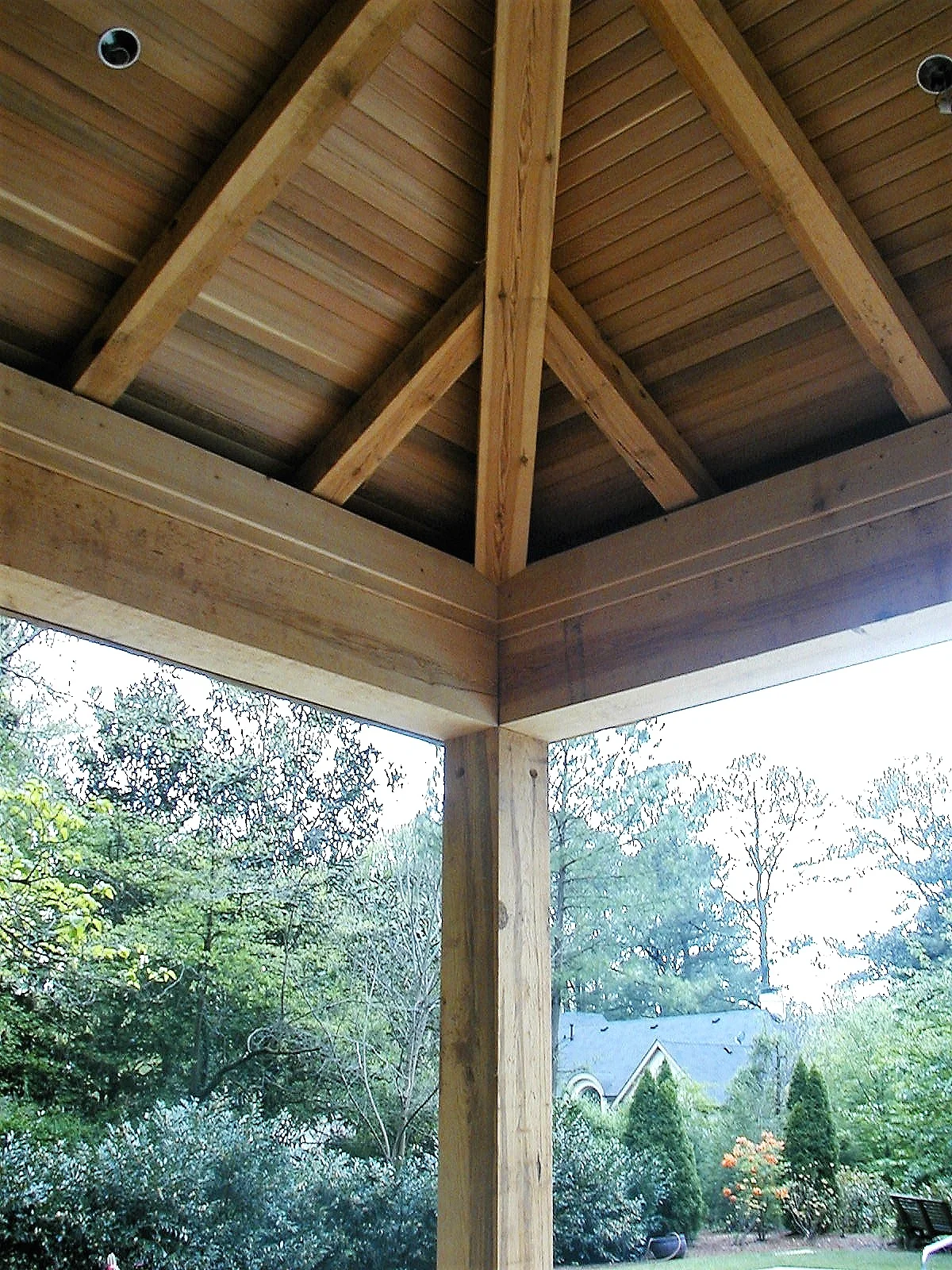 Red Hills Longleaf Timbers 005.JPG