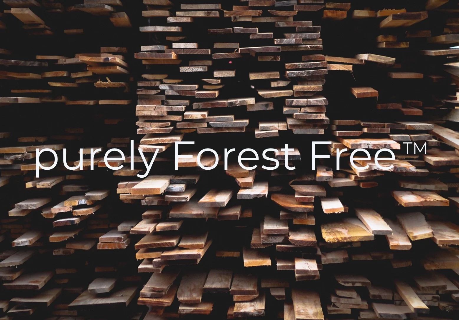 Forest+Free.jpg