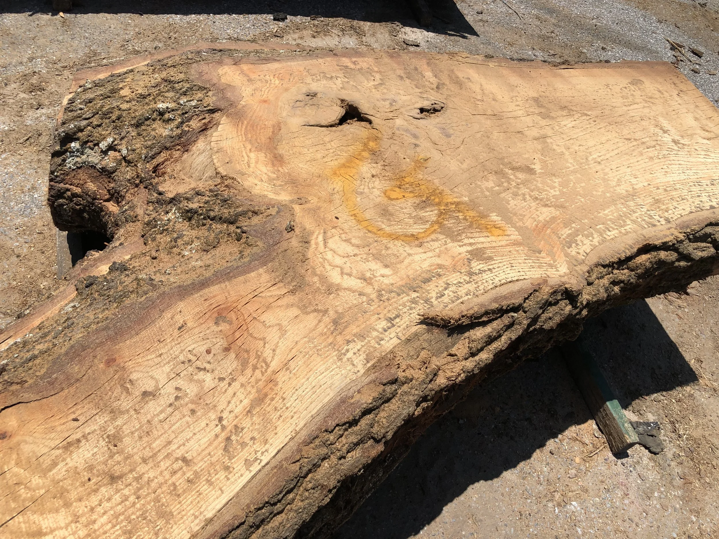 During this time, Eutree sawyers will monitor the wood’s moisture content. Once the moisture content reaches appropriate levels, slabs and boards will enter the kilns for their final drying stage.