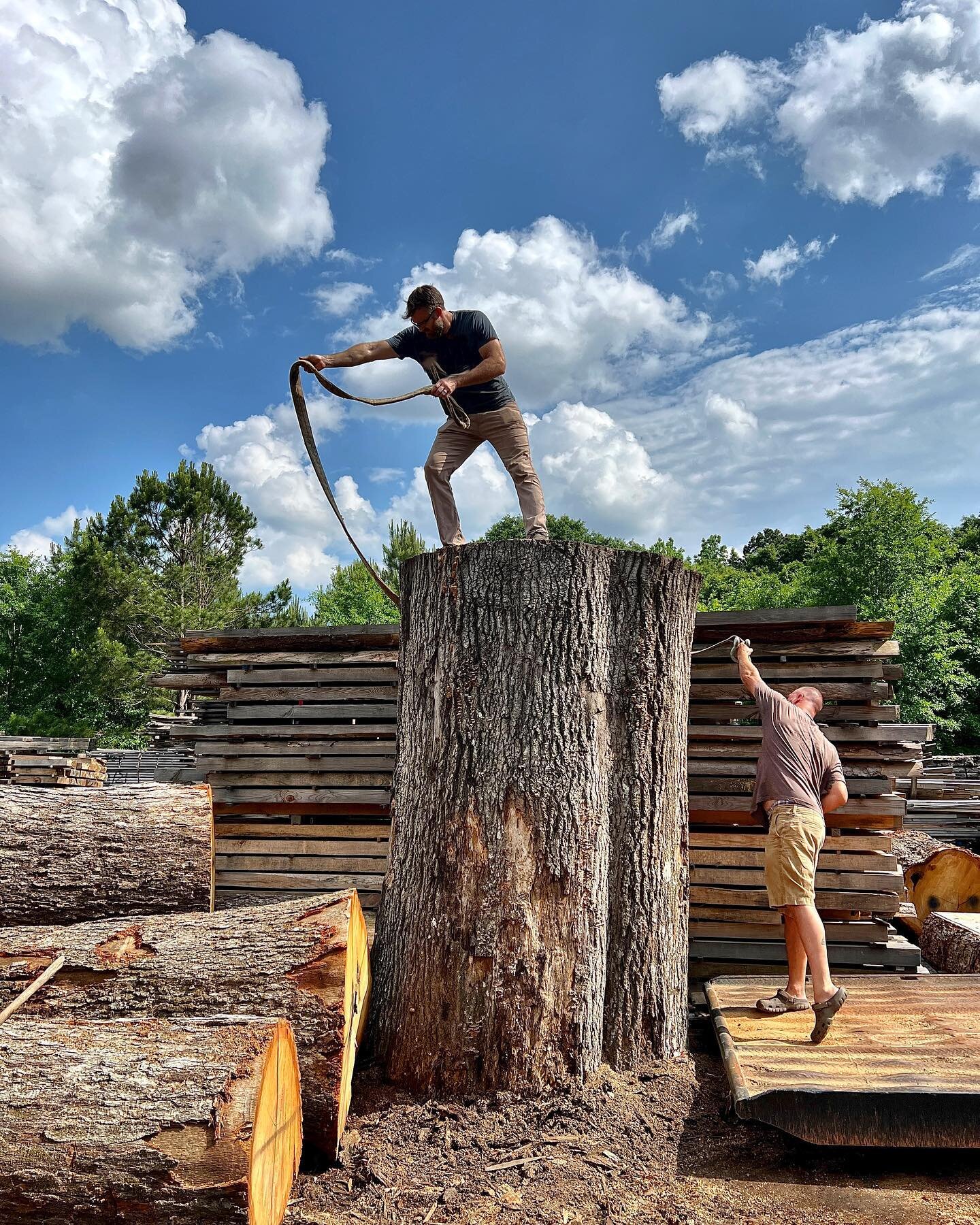 Wranglin&rsquo; a big willow log 🤠.
.
.
.
#forestfree #urbanwood #urbanlumber #urbanlogging #lumberyard #woodyard #sawmill #sawmillbusiness #sawyer #logstolumber #logs #woodisgood #biglogs #sustainablewood #localwood
