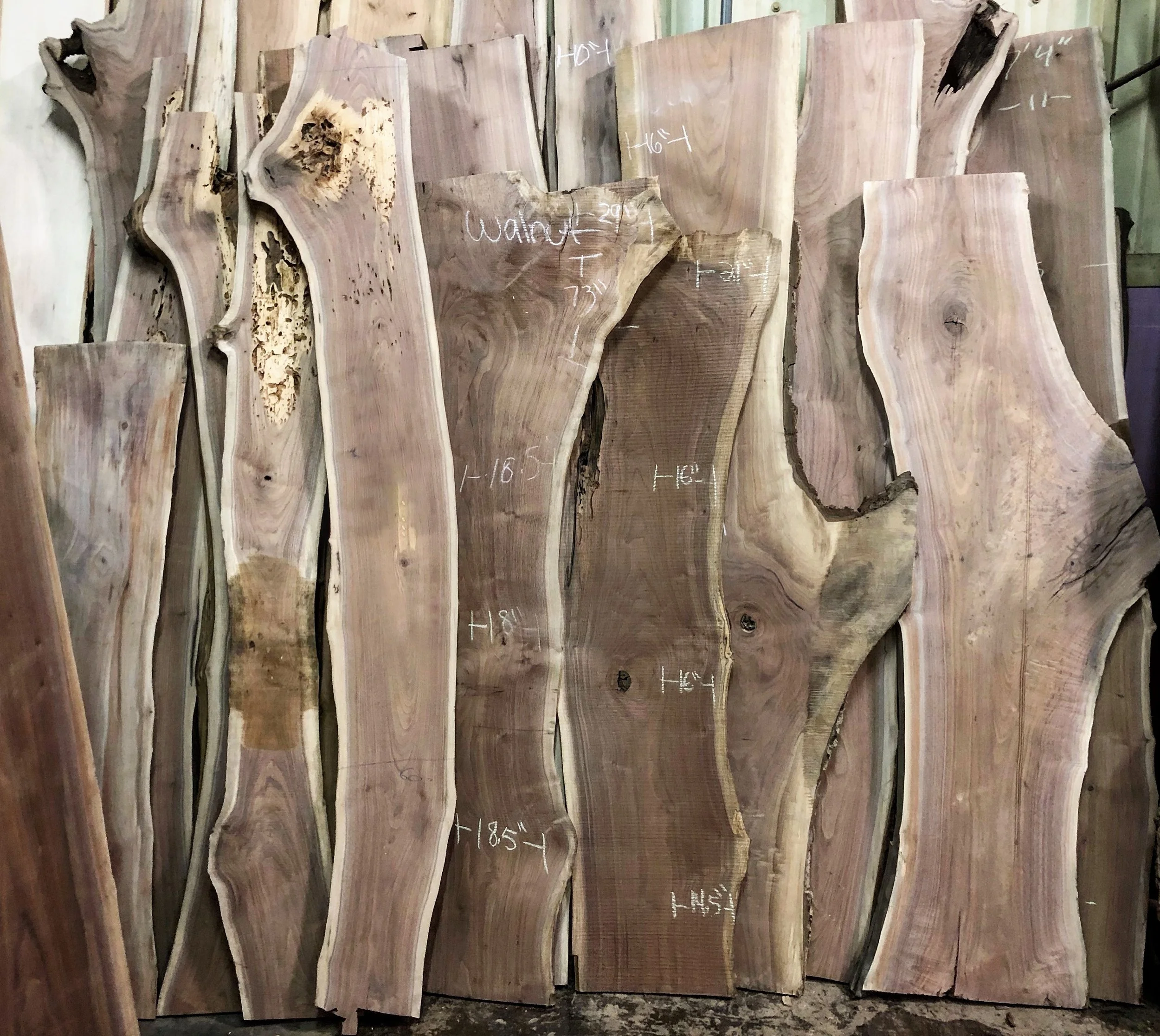 Black Walnut Live Edge Slabs.JPG