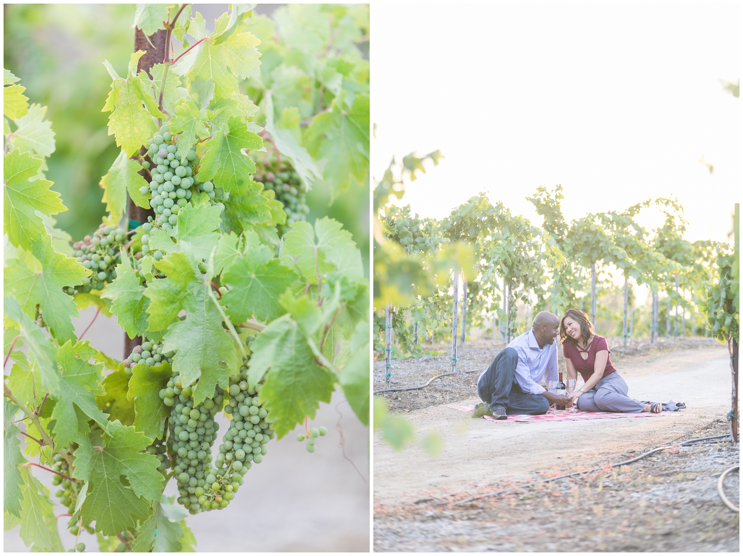 temecula-winery-engagement-wedding-photographer-carrie-vines0012.jpg