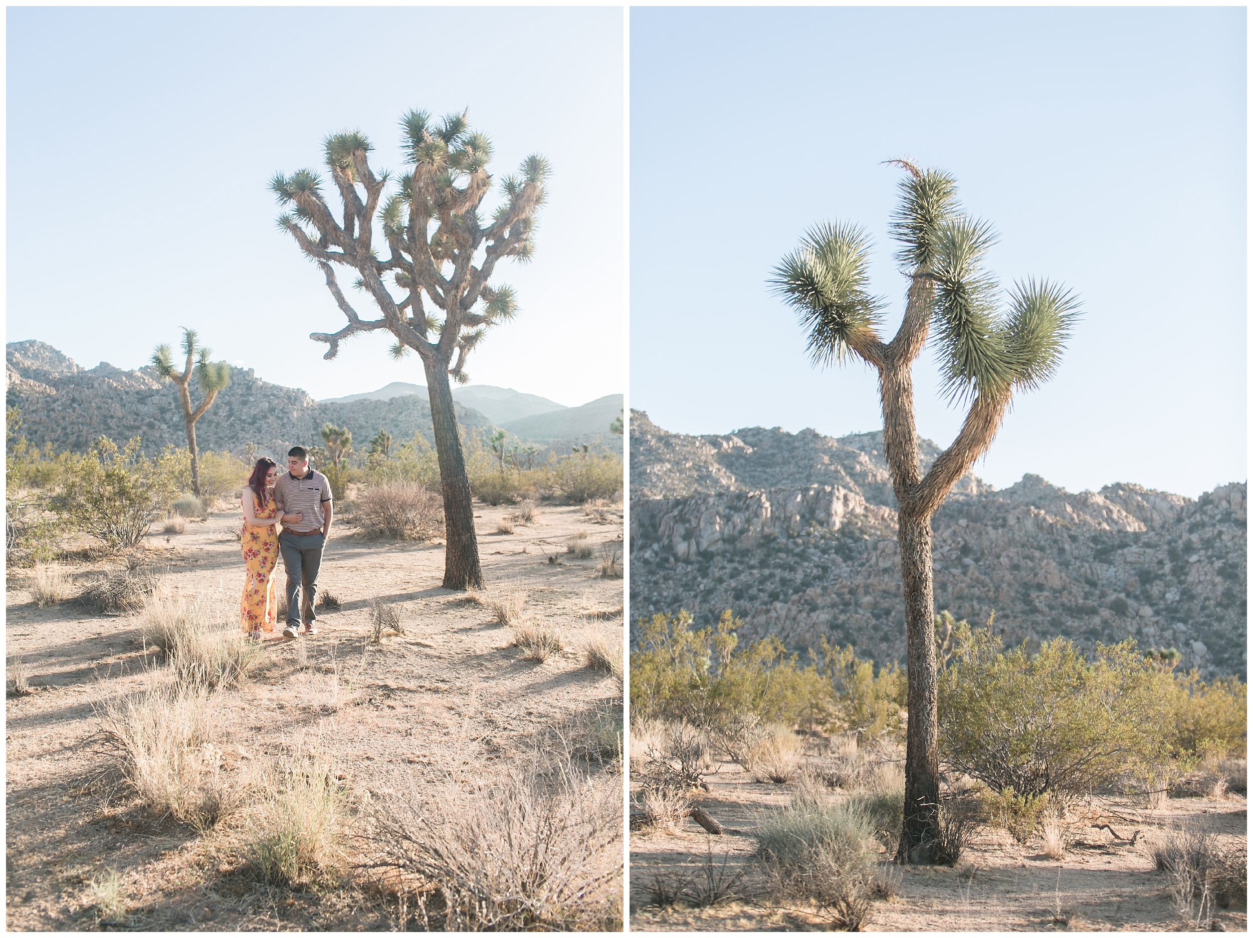 Joshua Tree Engagement Session Inland Empire Wedding Photographer Carrie Vines