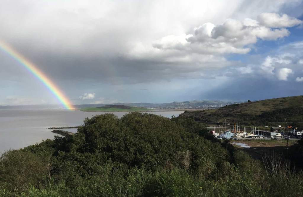 2017-01-30rainbow_rob_fyfe_2000-1024x666.png