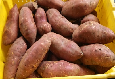 sweet potato website.jpg