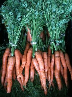 carrots_(417x556).jpg