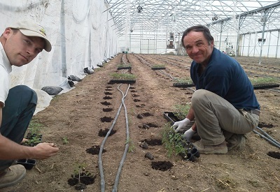 mike & Will planting Greenhouse.jpg