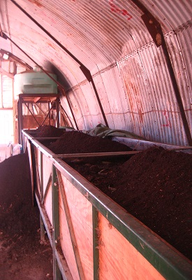 `worm compost 013.jpg