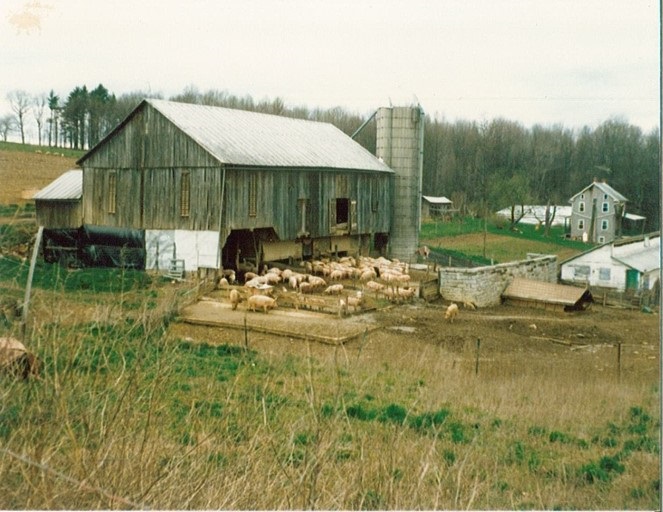 orginal barn and packhouse.jpg