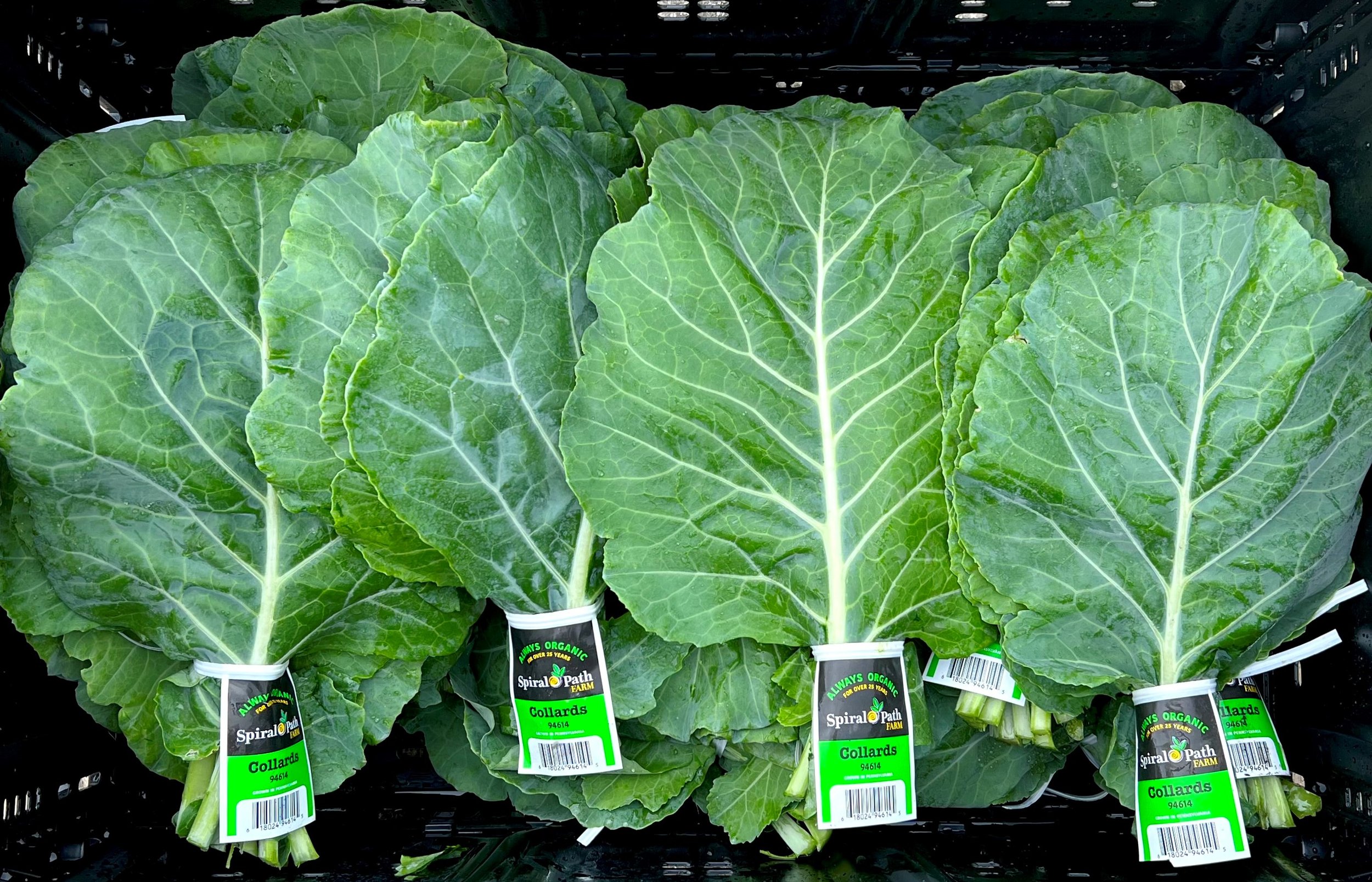 Collards Ifco 2.jpg