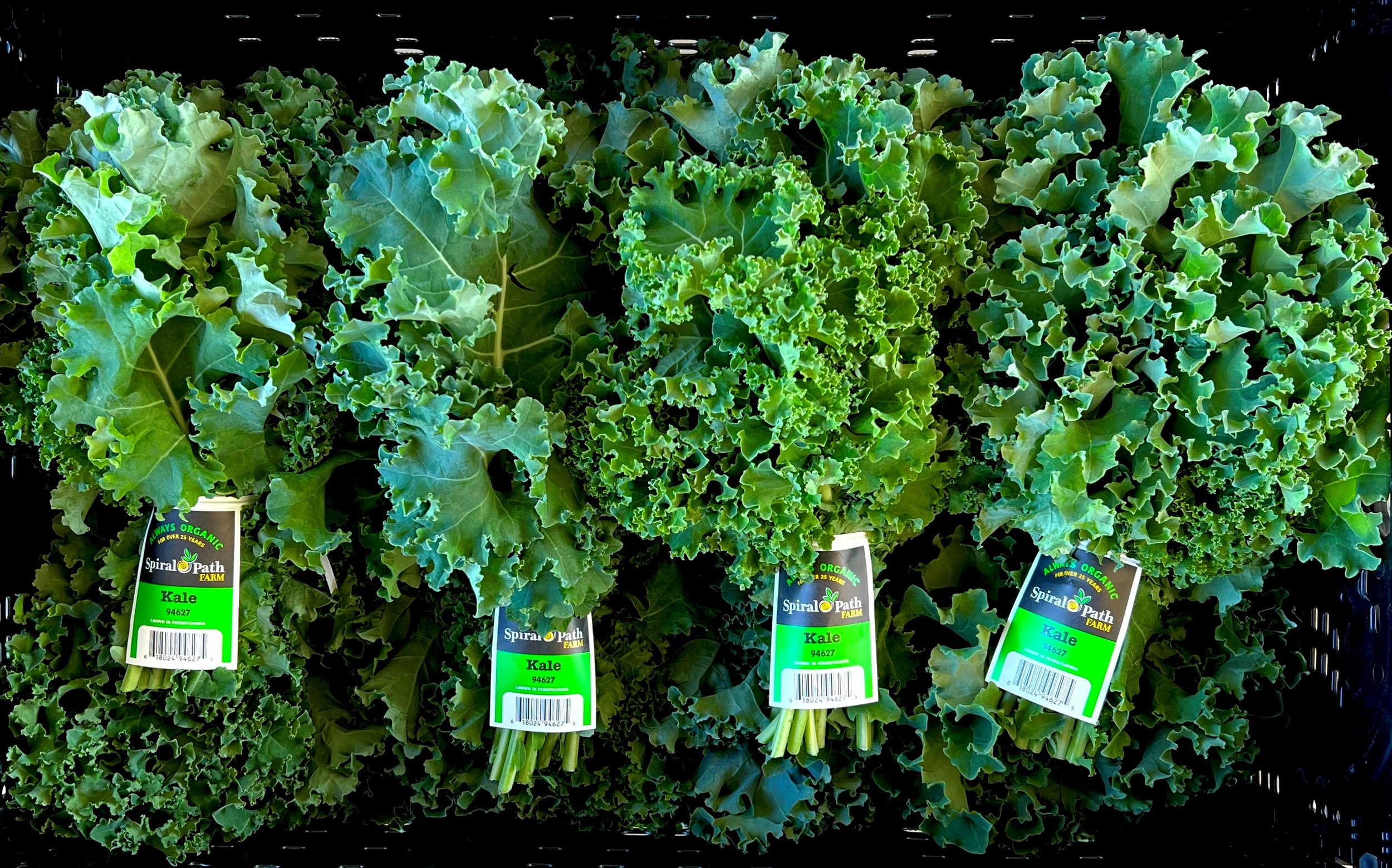 Kale in an ifco 2.jpg