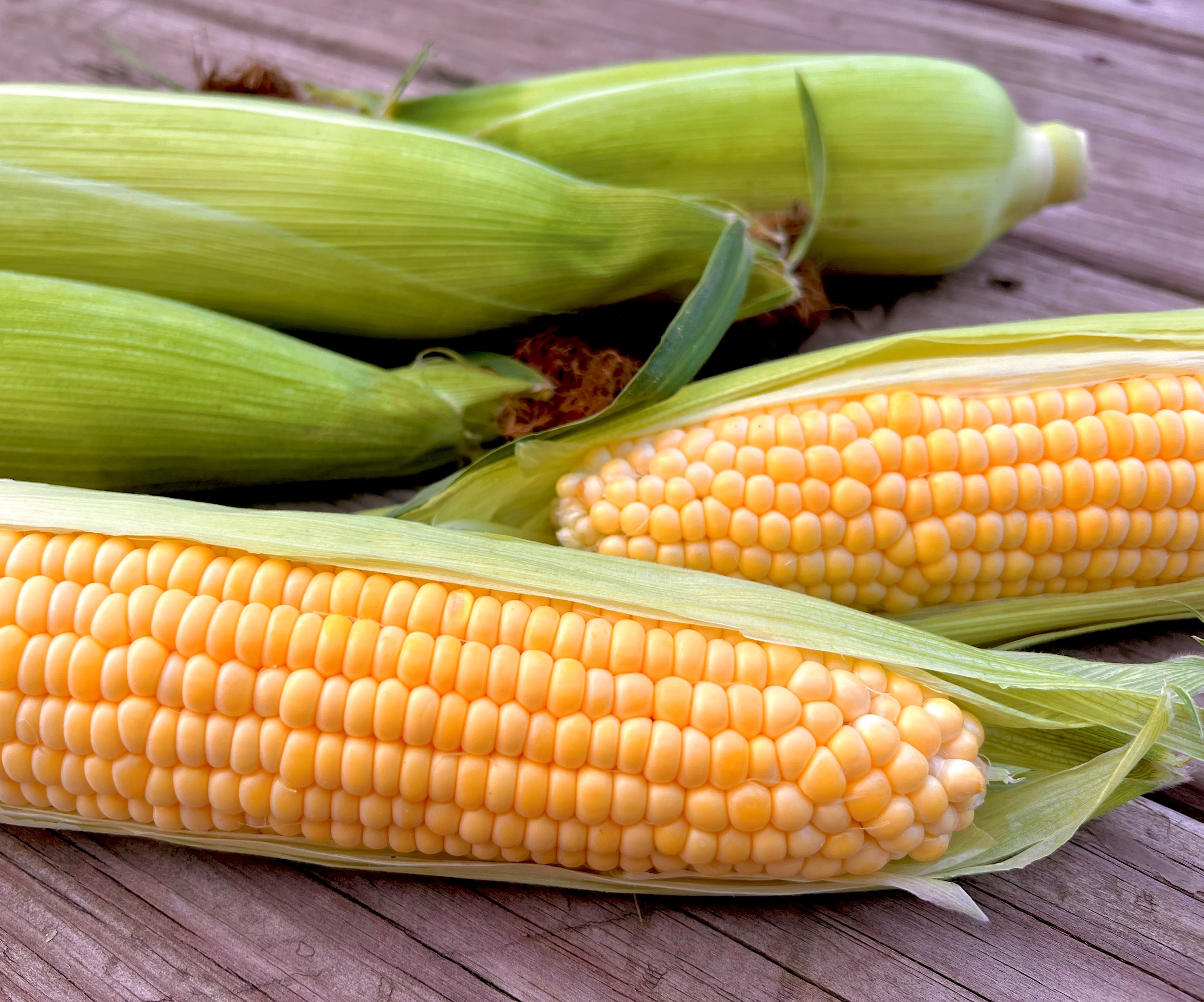 Membership Info — Spiral Path Farm