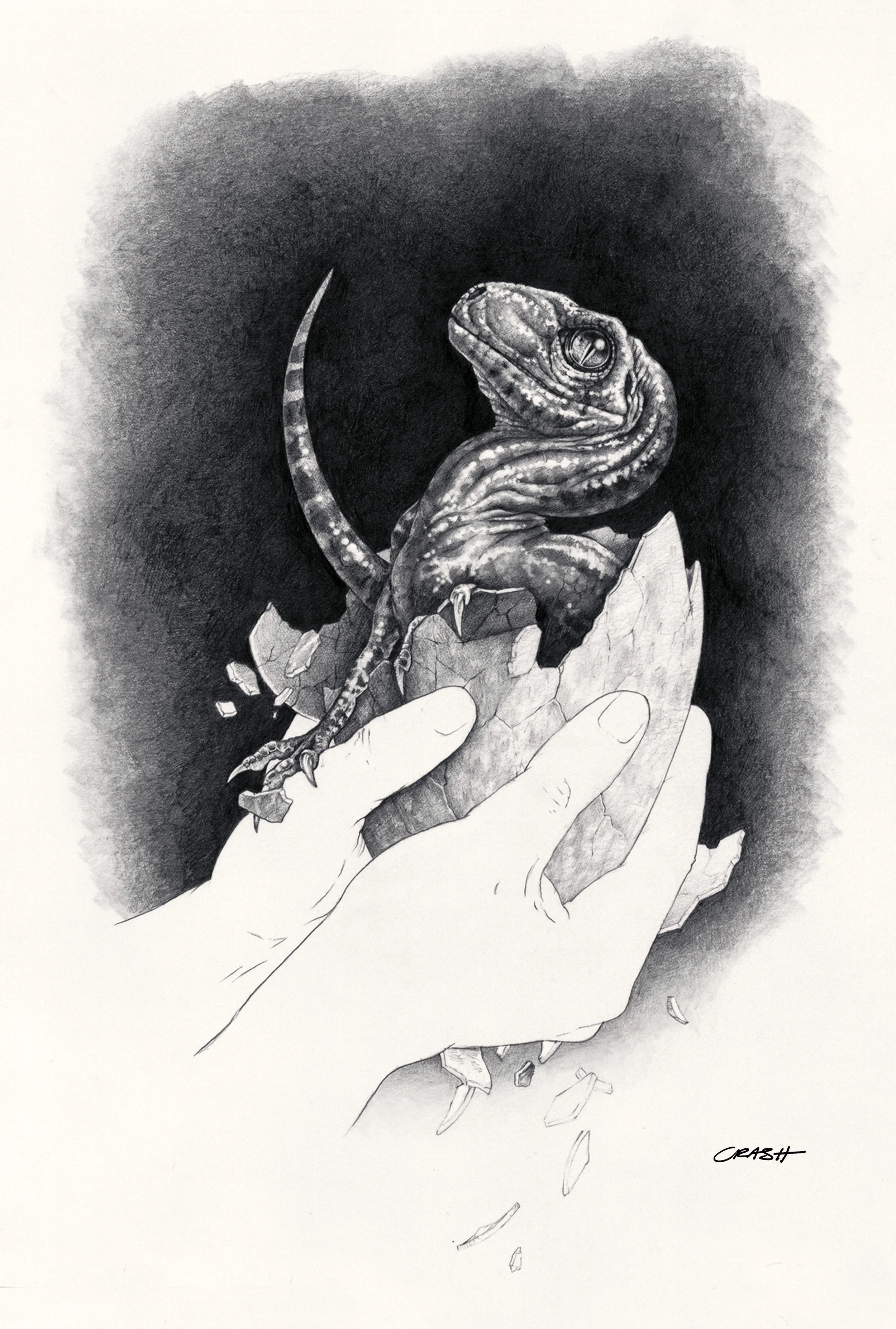 Baby Raptor.jpg