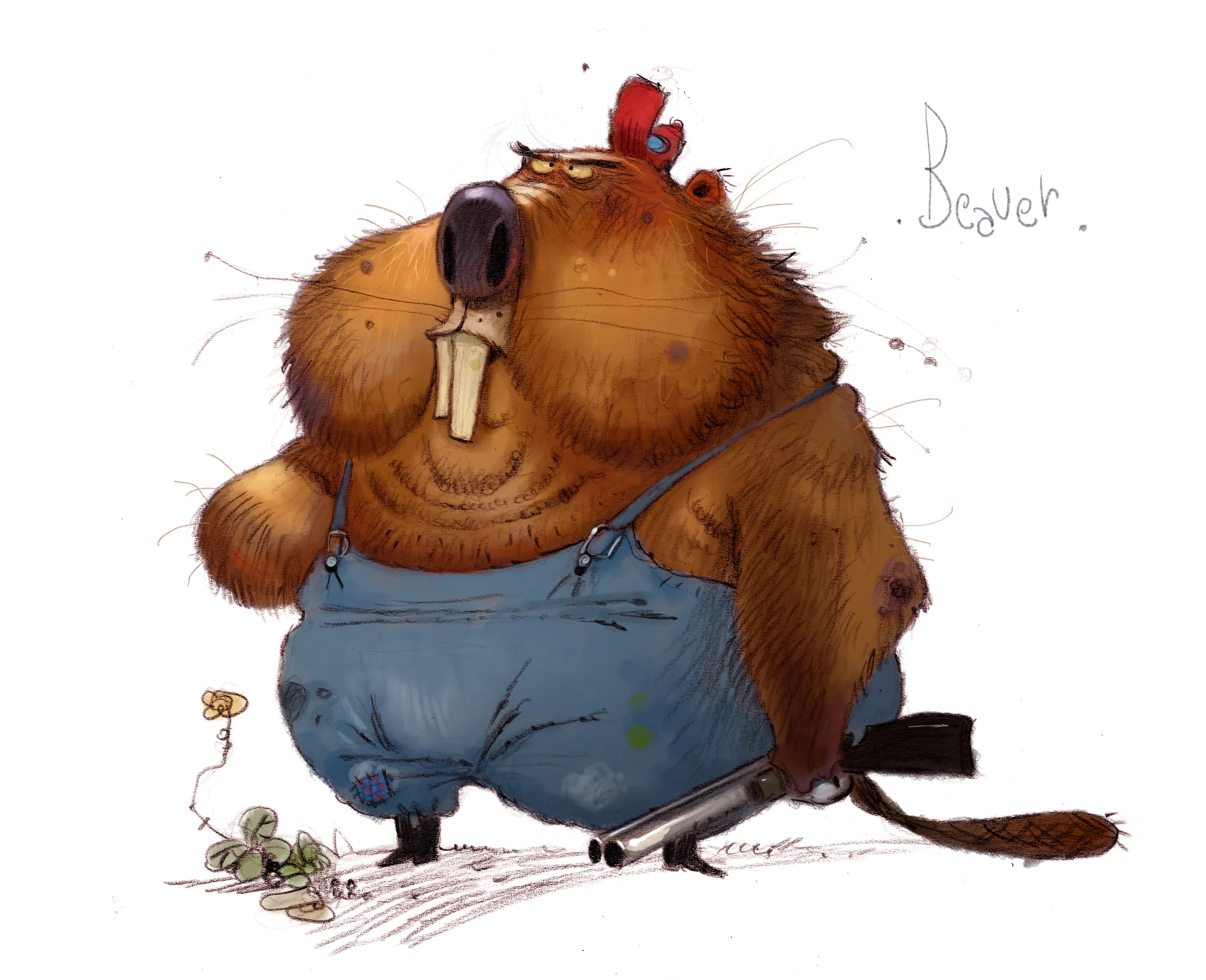beaver3.jpg